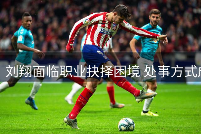 刘翔面临职业抉择困境 处事方式成关键因素