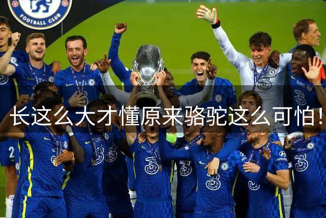 长这么大才懂原来骆驼这么可怕！又学到一个保命知识！